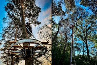 Budowa platformy w koronie drzewa