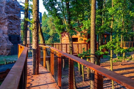 Tree Walking - trasy rekreacyjno - widokowe w koronach drzew